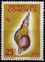 1962 Comores PA24 - Coquillage