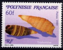 1989 - Timbres Polynésie 343-345 - Faune marine, microcoquillage