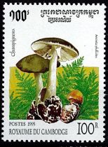 1995 - Cambodge 1252/1256 - Champignons