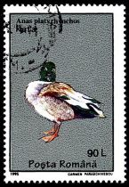 1995 - Roumanie 4269/4274 - Oiseaux de basse-cour