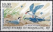 1995 - Saint Pierre et Miquelon A74 - Oiseaux, les grands migrateurs