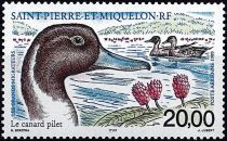 1999 - Saint Pierre et Miquelon A79 - Les oiseaux migrateurs