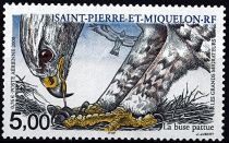 2000 - Saint Pierre et Miquelon A80 - Oiseaux, les grands migrateurs