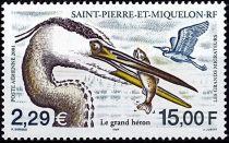 2001 - Saint Pierre et Miquelon A81 - Oiseaux, les grands migrateurs