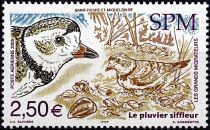 2005 - Saint Pierre et Miquelon A85 - Oiseaux, les grands migrateurs