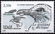 2006 - Saint Pierre et Miquelon A86 - Oiseaux, le goëland arctique