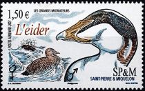 2007 - Saint Pierre et Miquelon A87 - Oiseaux, l\'eider